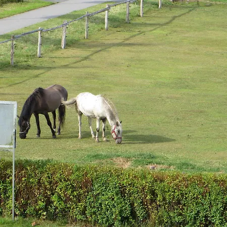 Am Radweg Nr 1 * Kröpelin